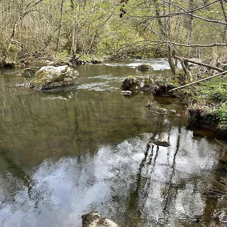 De Charme Avec Jacuzzi, Tarn Cascades, Randonnee, Peche, Champignons Vakantiehuis