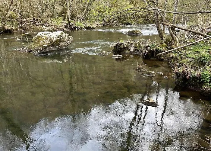 De Charme Avec Jacuzzi, Tarn Cascades, Randonnee, Peche, Champignons Σπίτι διακοπών